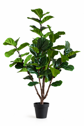 Faux Fiddle Tree – 170cm