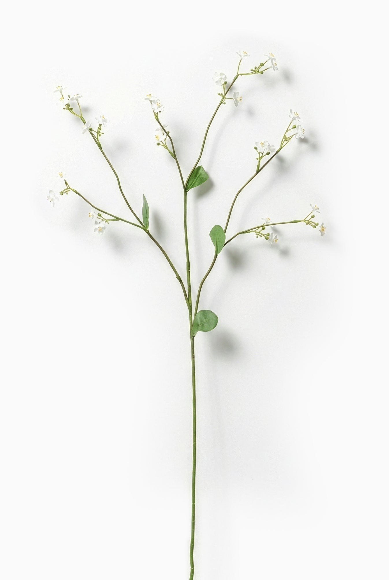 Faux White Forget-Me-Not
