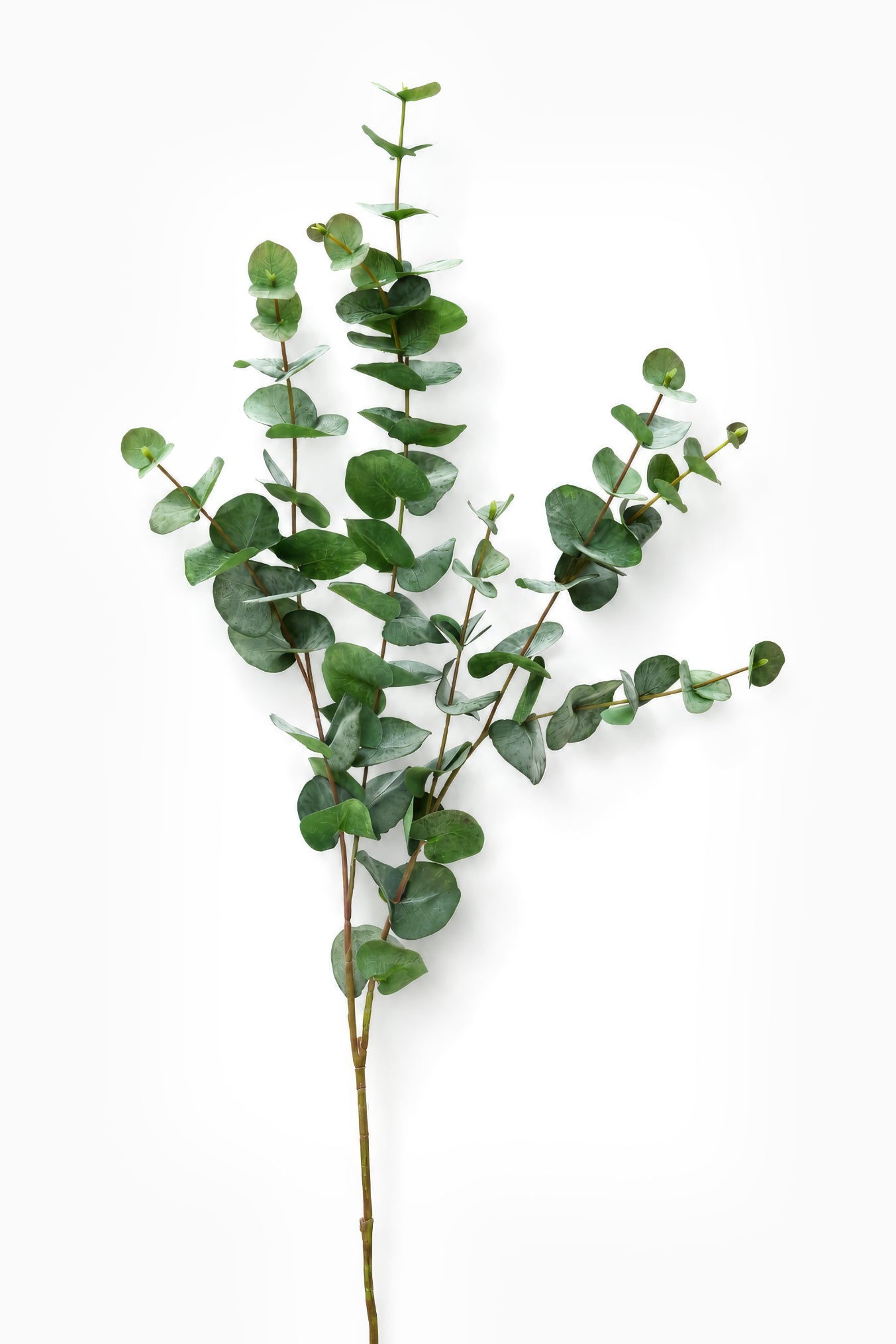 Faux Green Eucalyptus
