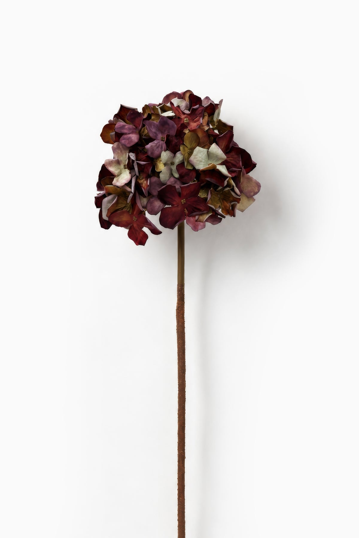 Hydrangea Mulberry