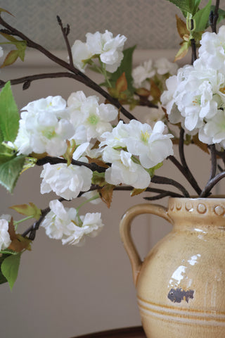 The Pear Blossom & Vase Gift Bundle