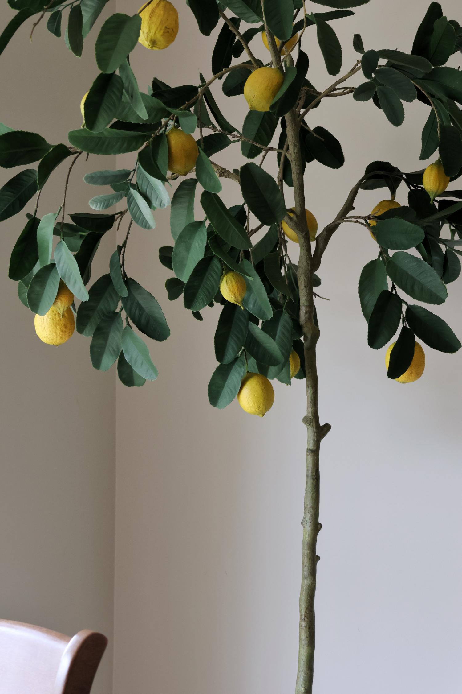 Faux Lemon Tree – UV Proof 180cm