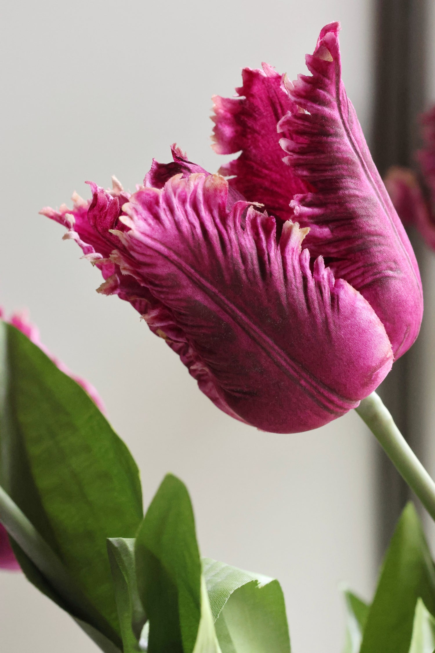 Faux Purple Fringed Tulip