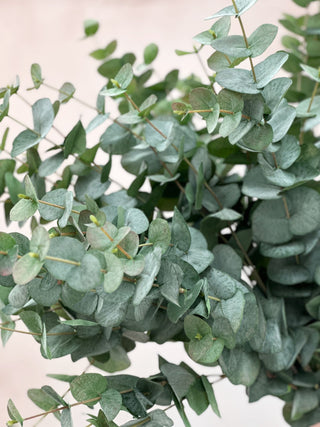 Faux Green Eucalyptus
