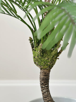 Faux Parlour Palm Tree - 85cm