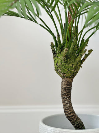 Faux Parlour Palm Tree - 85cm