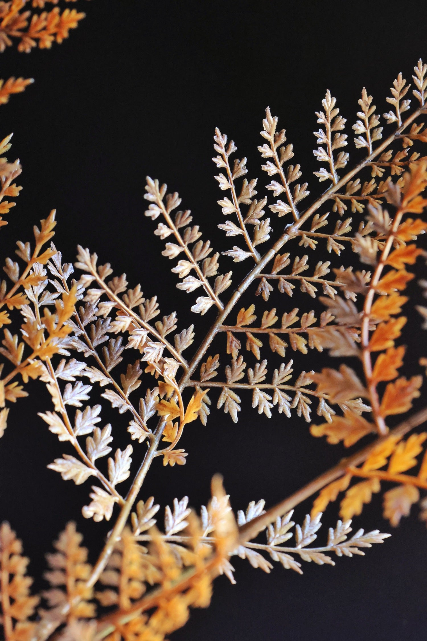 Faux Autumn Bracken Stem