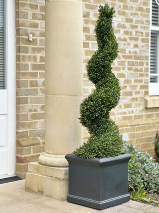 faux_spiral_topiary