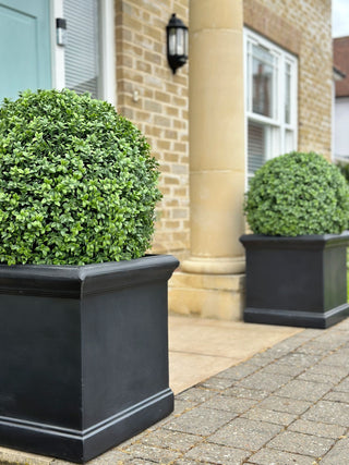 Faux Potted Topiary Buxus Ball - UV Proof - Large 50cm