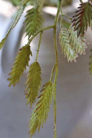 Faux Wild Oat Grass