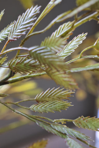 Faux Wild Oat Grass