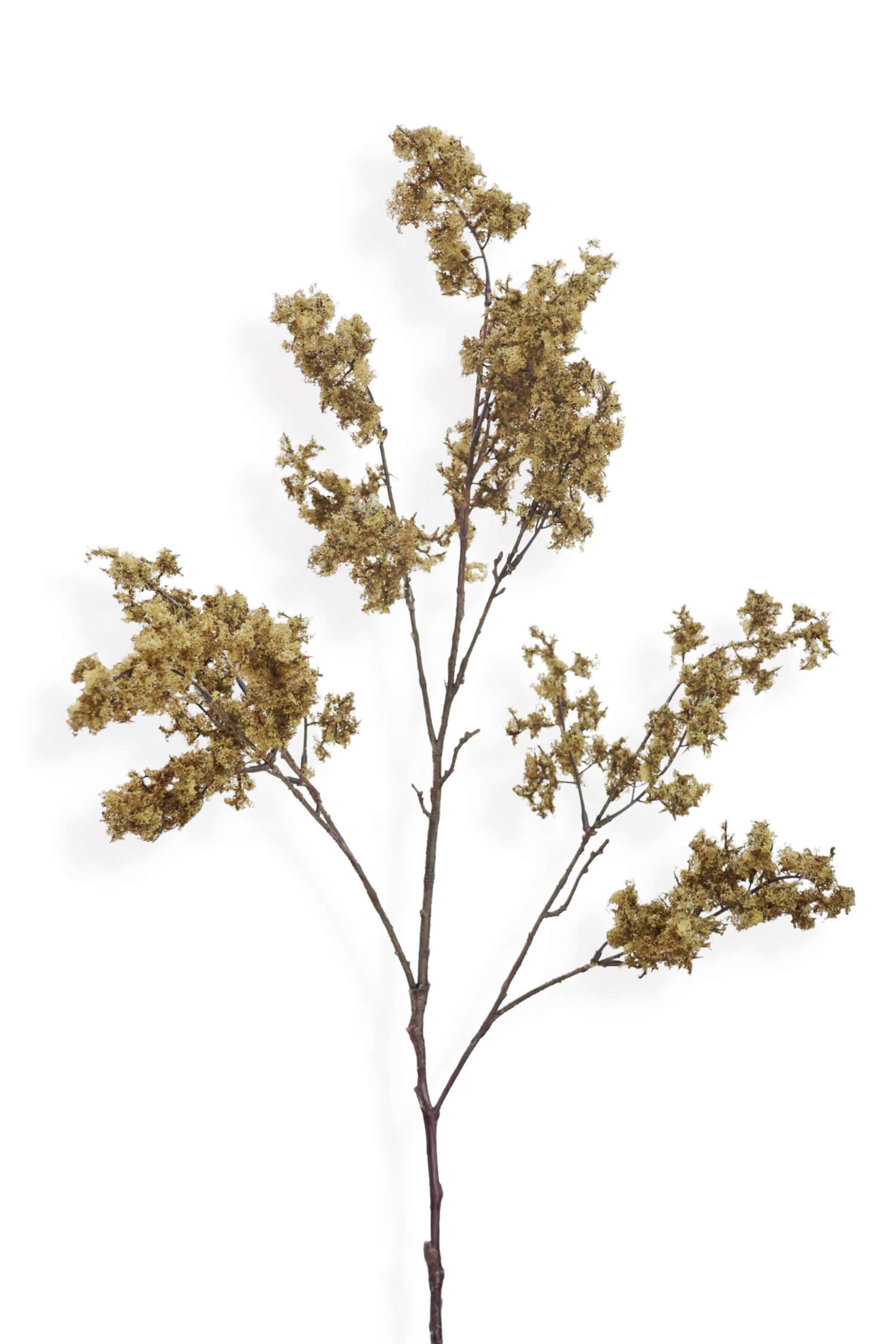 Artificial moss branch with green leaves on a white background