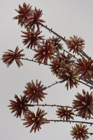 Faux Maroon Echinops