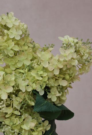 SECONDS - Faux Light Green Hydrangea Paniculata 4 x stems