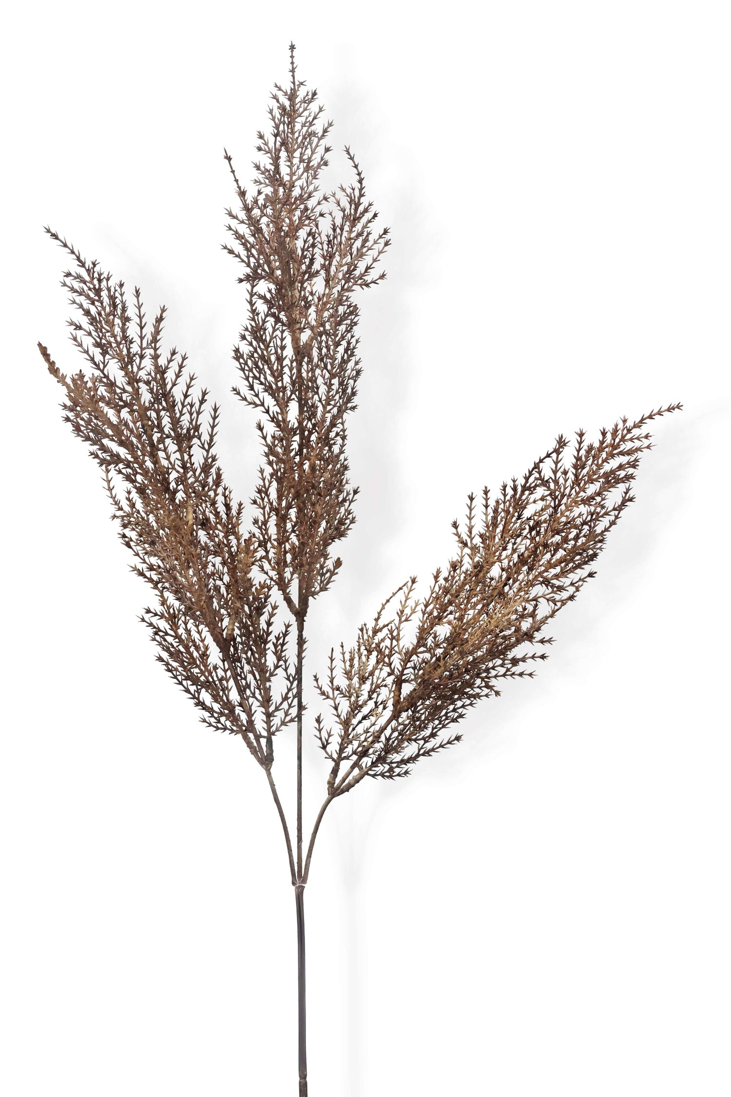 Faux Dried Astilbe