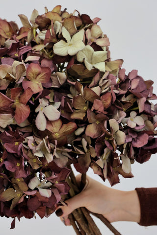 Faux Dried Hydrangea Mulberry