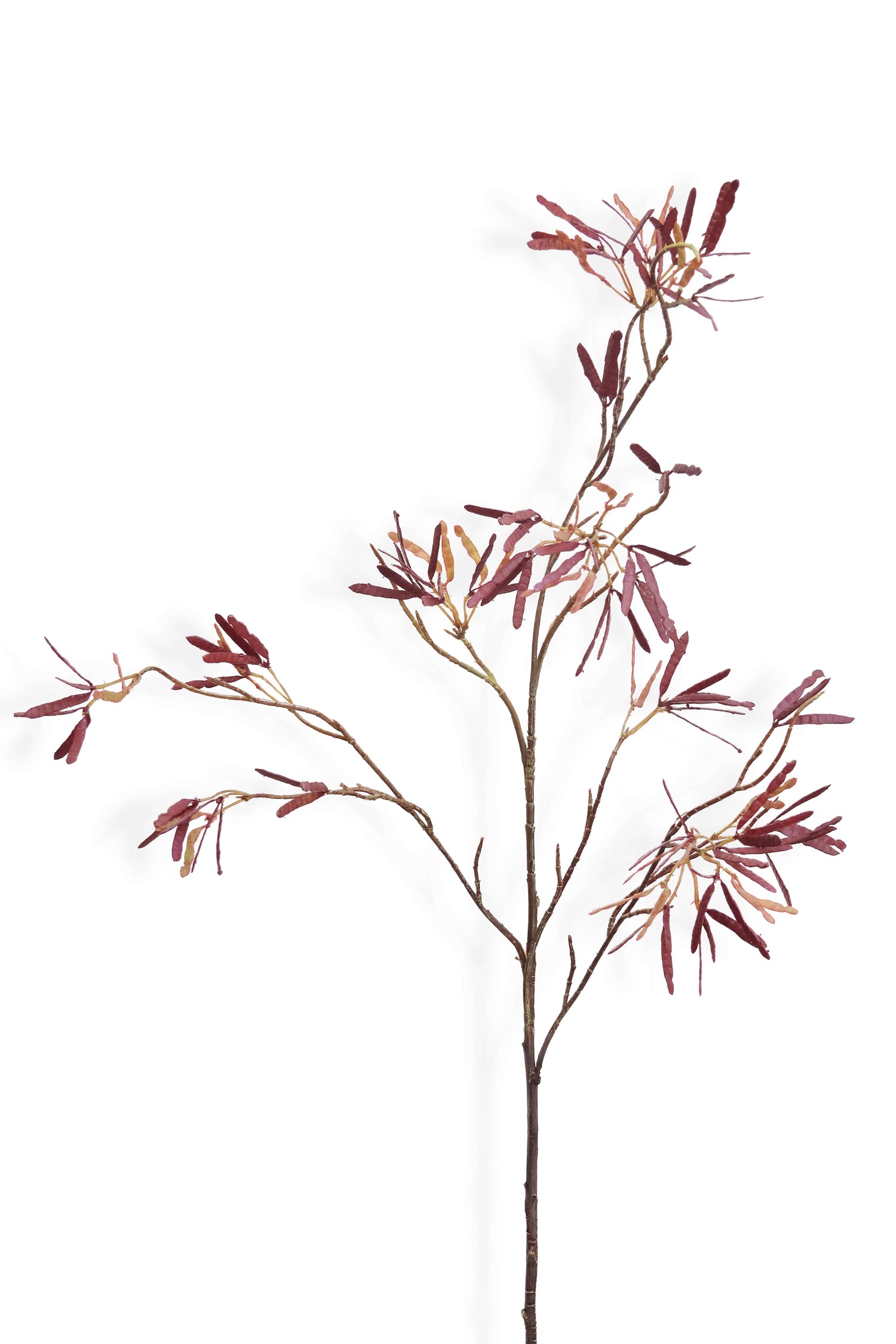 Faux Maple Samaras Spray