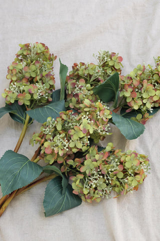 SAMPLE - Faux Green & Mauve Hydrangea Paniculata