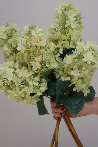 SAMPLE - Faux Light Green Hydrangea Paniculata