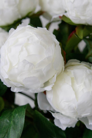 Faux White Peony In Bud