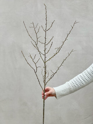 Faux Winter Branch