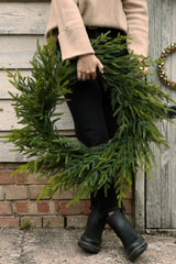 Faux Norfolk Pine Wreath - 70cm