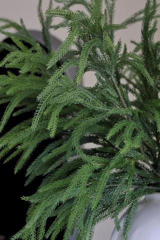 Faux Norfolk Pine Branch