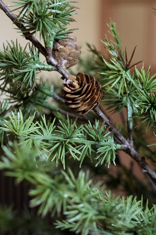 Faux Larix Branch