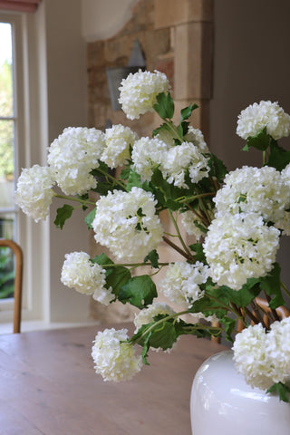 Faux White Viburnum