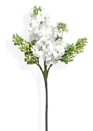 Artificial flower stem with white flowers and green buds on a white background