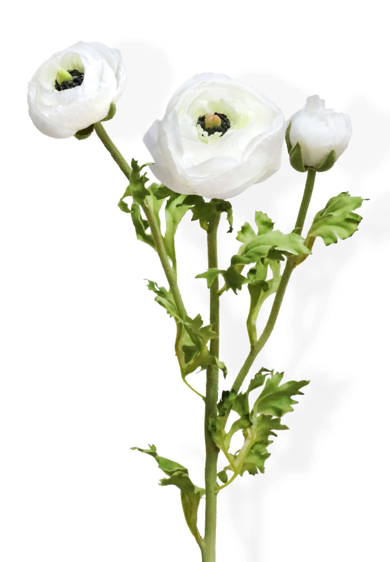 Faux White Ranunculus Deluxe