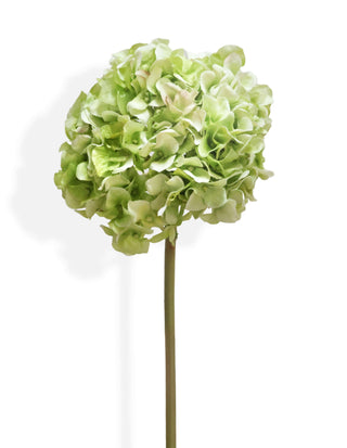 Artificial green hydrangea flower stem on a white background