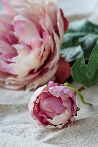 Faux Blush Peony Stem