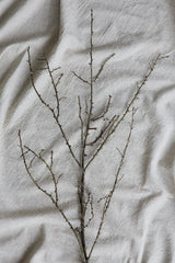 Faux Winter Branch