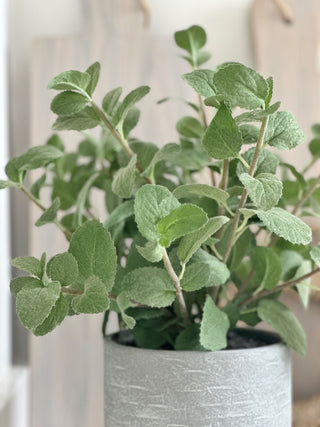Faux Potted Mint Plant - Large