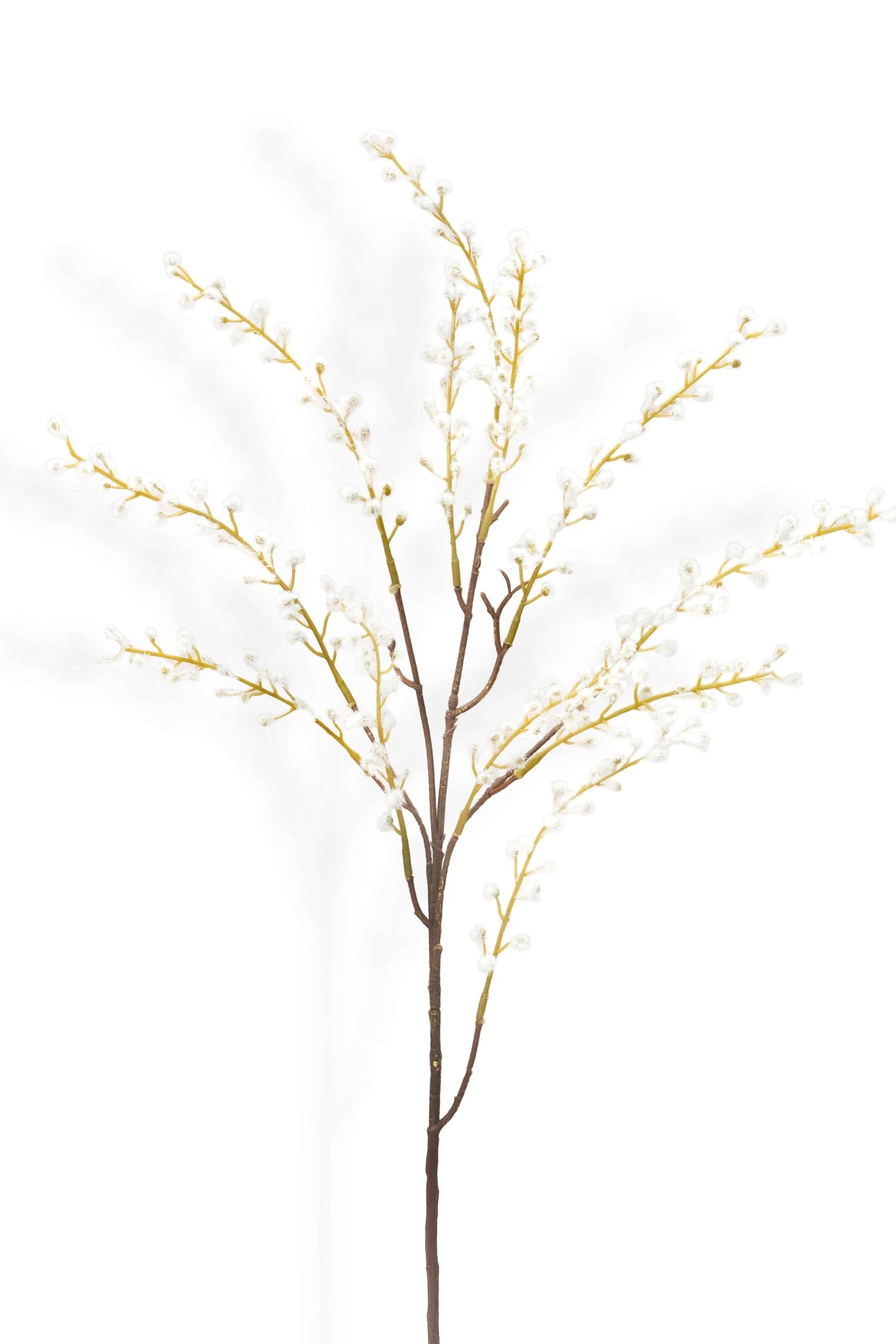 Faux White Willow