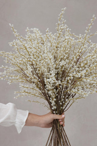 Faux White Willow