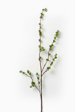 artificial green berry branch on white background