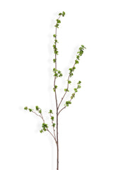 Faux Green Berry Branch