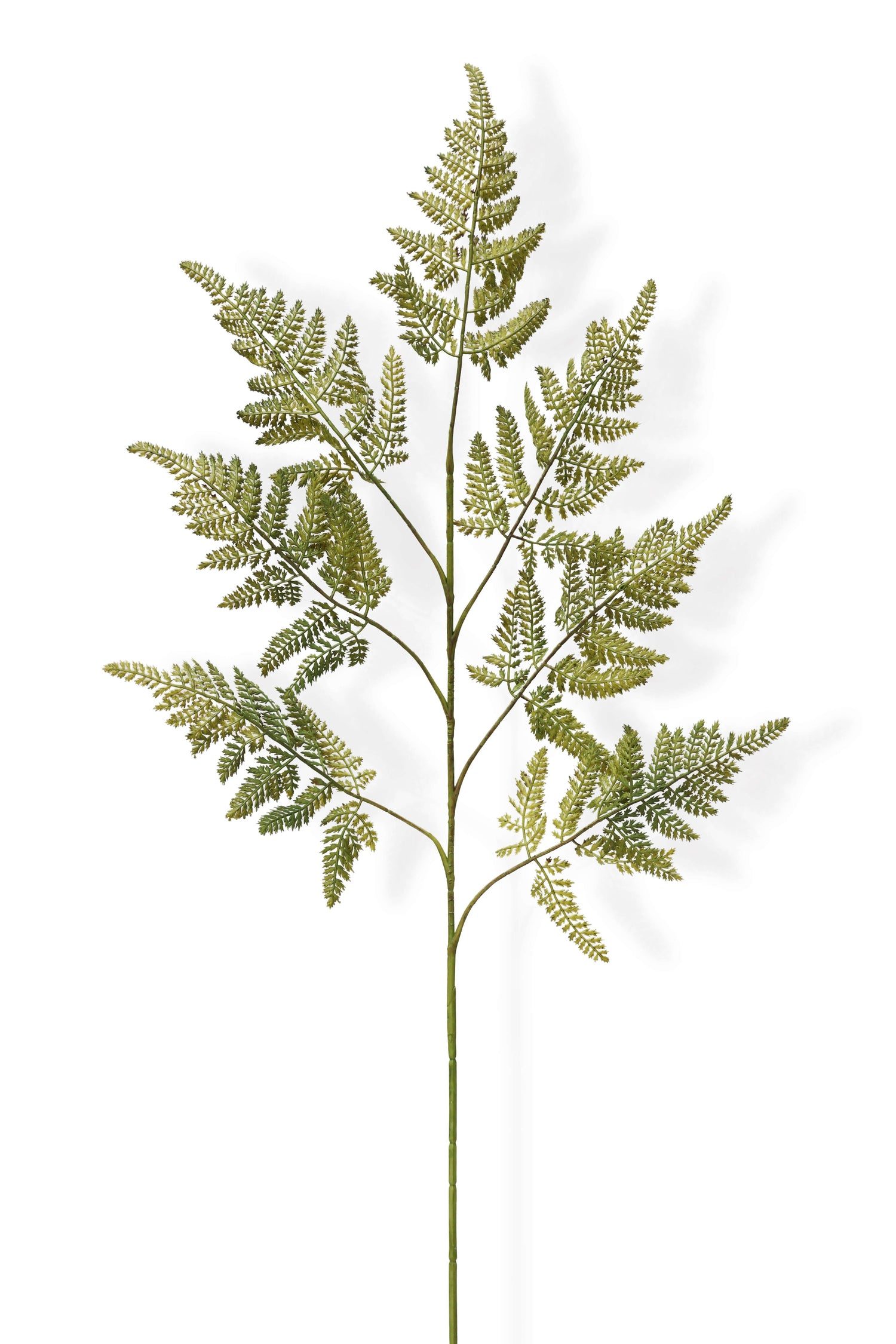 Faux Fern Stem