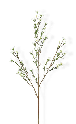 Artificial waxflower stem with small green leaves and white flowers on a white background