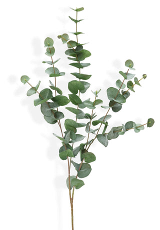 Artificial eucalyptus branch on a white background