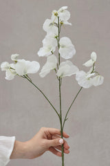 Faux White Sweet Pea