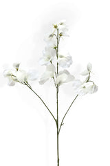 Faux White Sweet Pea