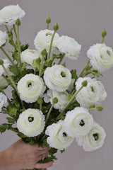 Faux White Ranunculus Spray