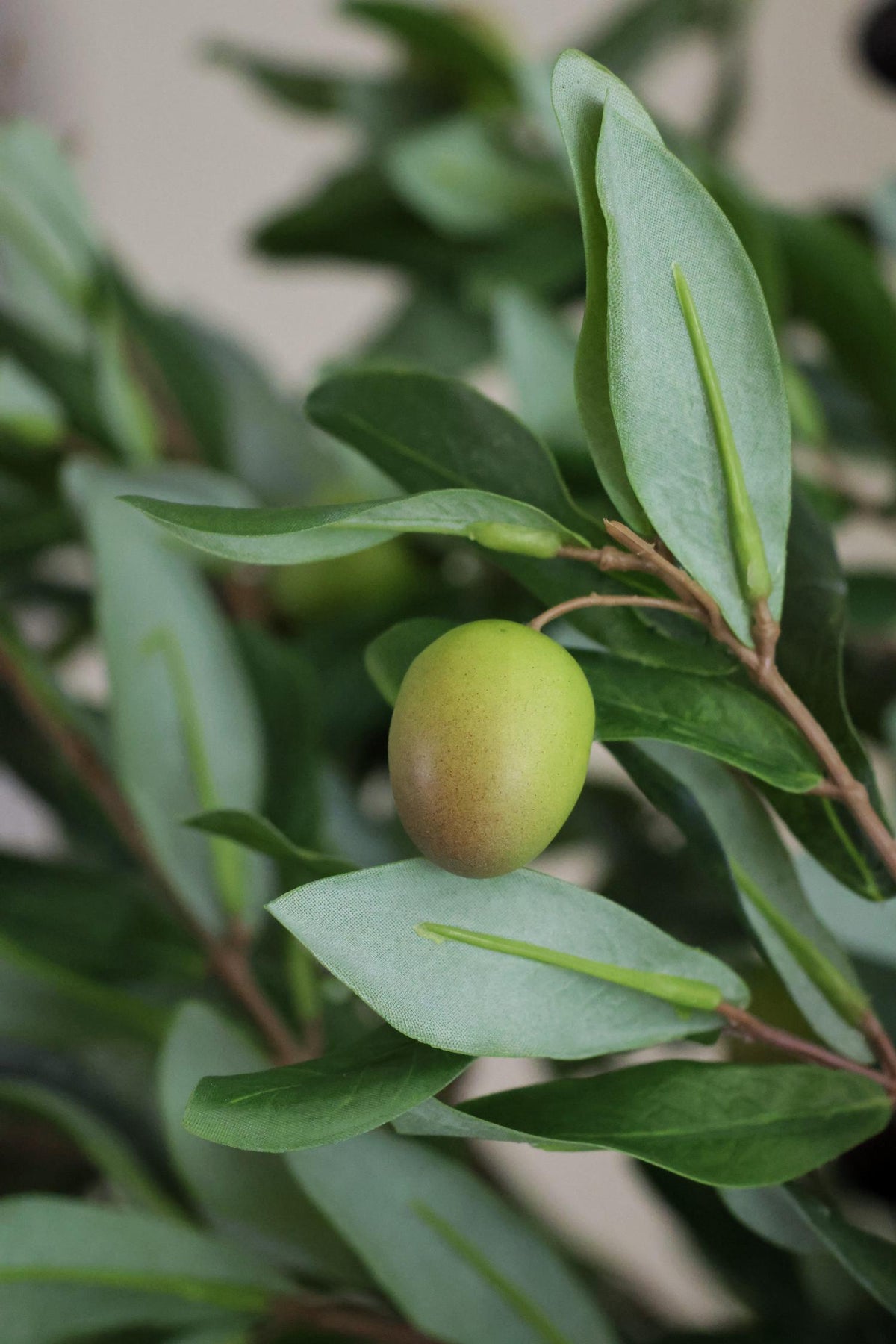 faux olive fruit on branch 