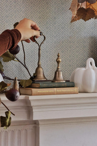 Decorative items on a mantelpiece with a hand reaching for a brass bell.
