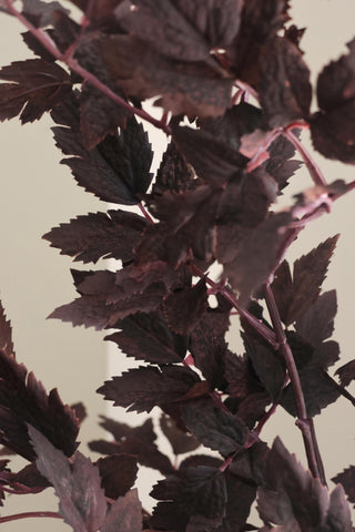 Close-up of dark plum faux leaves on a beige background