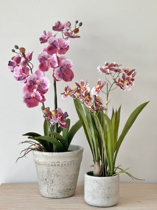 Faux Potted Pink Oncidium Orchid