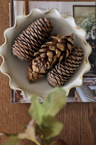 Ruffled Edge Footed Bowl
